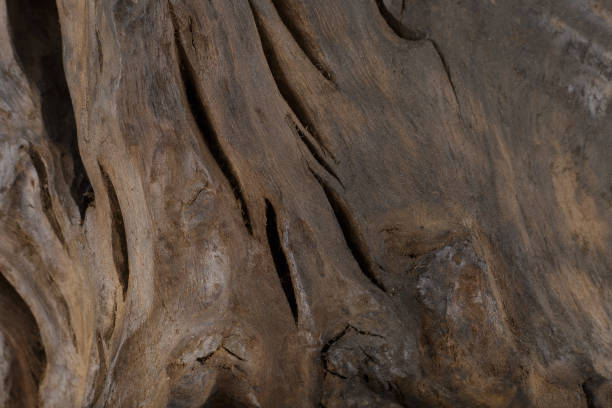 istock Beautiful texture of old carved stained oak 1175712614