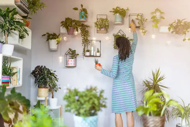 Photo of Young woman taking care of her potted plants at home
