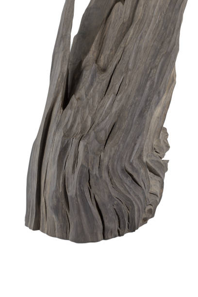 istock Reclaimed bog oak on a white background 1175714206