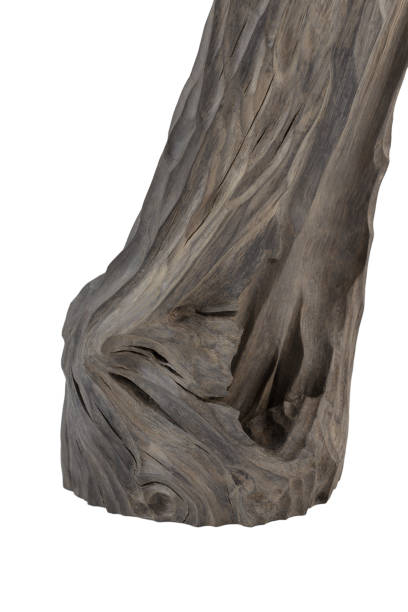 istock Reclaimed bog oak on a white background 1175714246