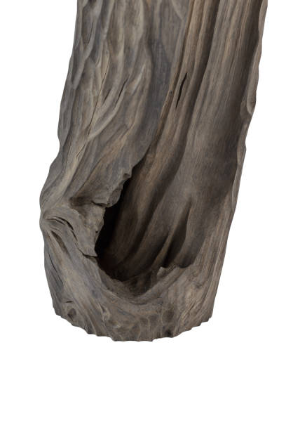 istock Reclaimed bog oak on a white background 1175714266