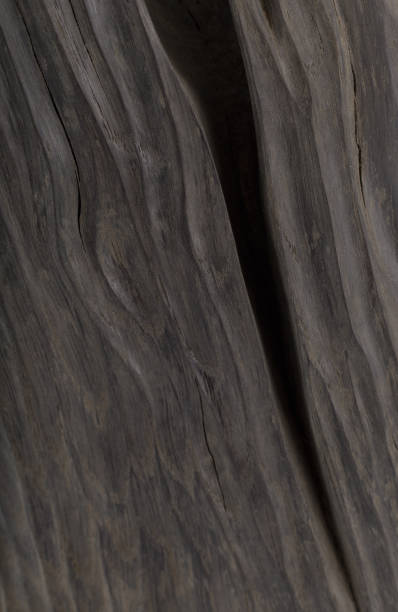 istock Beautiful texture of old carved stained oak 1175714390