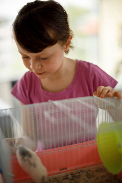 istock Little girl feeding her hamster 1175716504