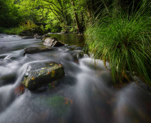 istock Beginning of autumn, in a river between forests 1175717084