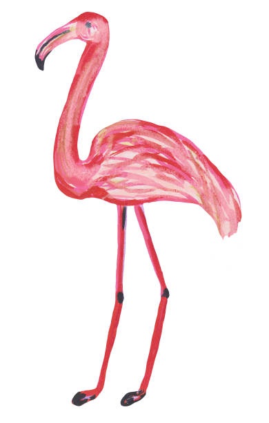 istock Isolated cute flamingo stands with pencils on a white background. Hand drawing illustration for design, prints, posters, cards, textiles and patterns. 1175717537