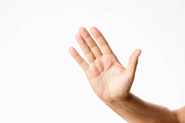 human hand showing the palm opened front view of male hand in a holding or stop gesture isolated in a white background right handed stock pictures, royalty-free photos & images