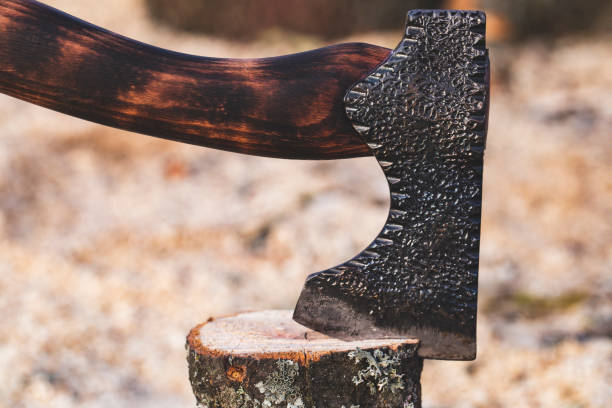 istock Axe sticking in a chunk of firewood 1175718661