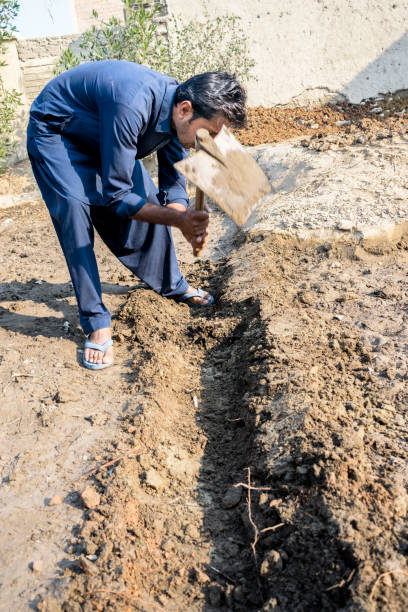 istock an asian man is planting a tree into ground 1175719356