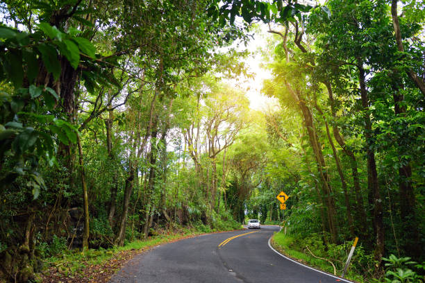 ハナへの有名な道路は、狭い1車線の橋、ヘアピンターンと信じられないほどの島の景色、崖、滝、熱帯雨林のマイルの景色を望む湾曲した海岸沿いの道路で満たされています。マウイ島, ハ� - waterfall maui hawaii islands hana ストックフォトと画像