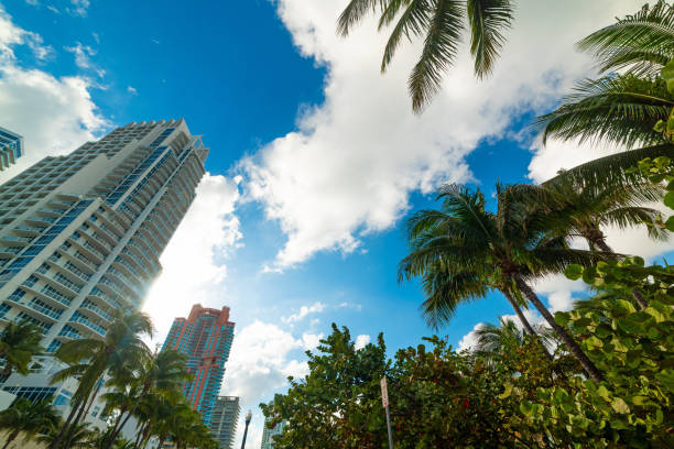 istock Skyscrapers in world famous Miami Beach 1175720878