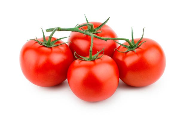 branchement de tomate d'isolement sur le fond blanc - tomato small food vegetable photos et images de collection