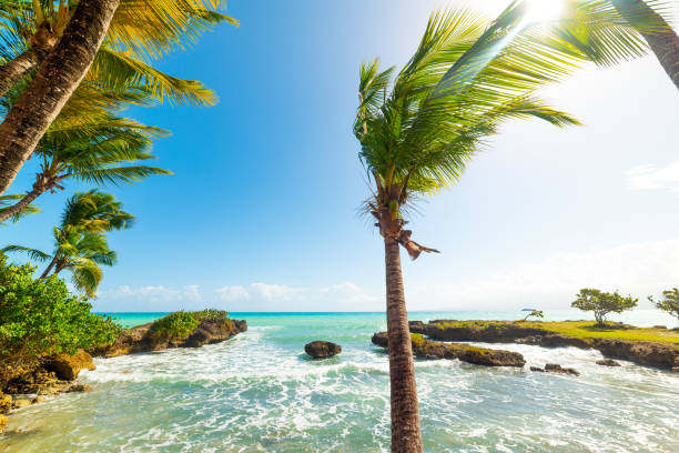 istock Bottom of Fort beach in Guadeloupe 1175722247