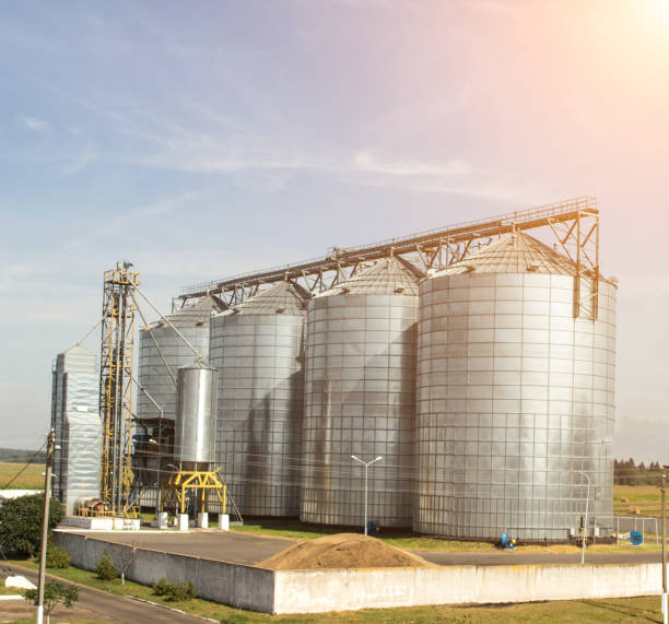 Modern storage complex for oilseed rapeseed and other grains, grains, against a blue sky, silo Modern storage complex for oilseed rapeseed and other grains, grains, against a blue sky, industry flour mill stock pictures, royalty-free photos & images