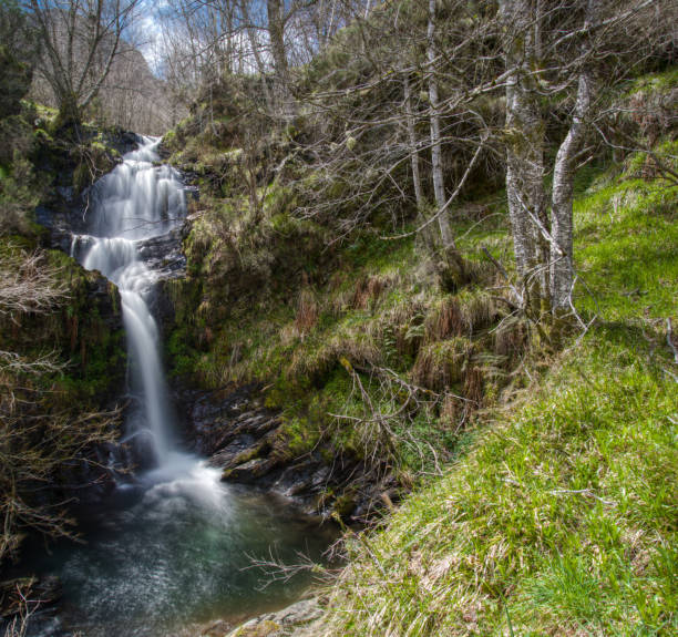 waterfall and birches in a beautiful corner of the Serra do Courel, Folgoso do Courel, Lugo, Galicia