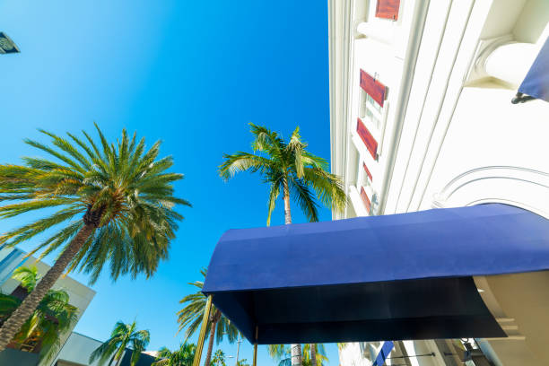 istock Elegant buildings and palm trees in Rodeo Drive 1175723006