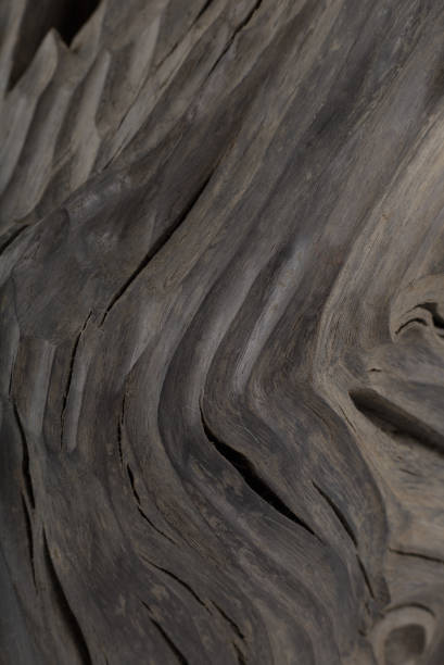 istock Beautiful texture of old carved stained oak 1175723018