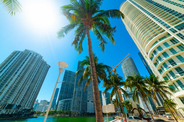 istock Sun shining over Miami riverwalk 1175723644