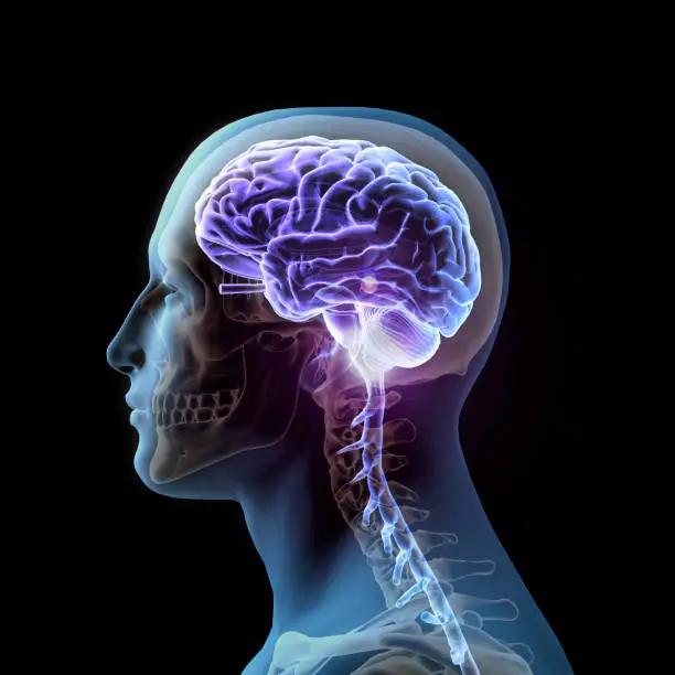 Photo of Side View of Human Head and Glowing Brain on Black Background