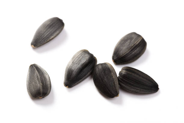 istock Organic Sunflower seeds isolated on white background 1175725566