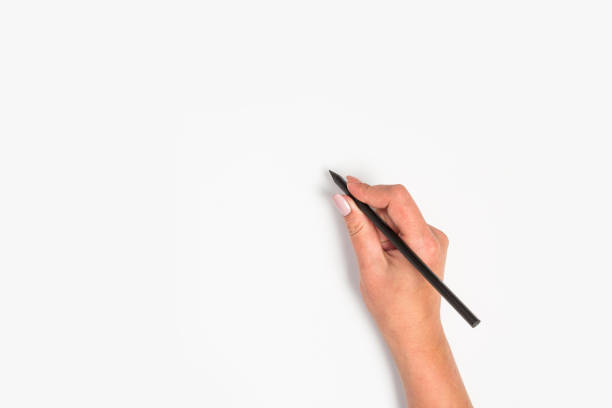 istock Female hands hold a pen. Isolated on white background. copy space, template. 1175725608