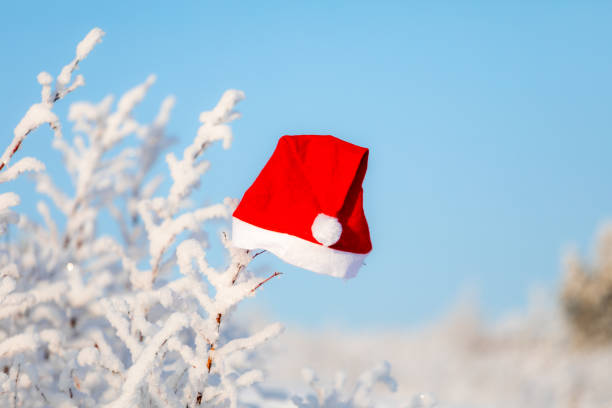 istock Christmas background with red hat and white branches of a Christmas tree 1175726216