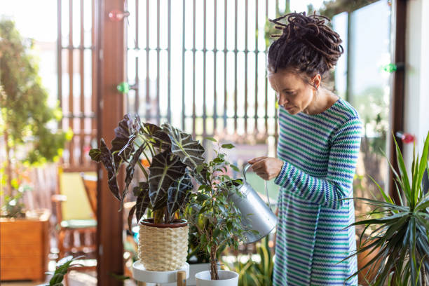 istock Young woman watering plants at home 1175726604