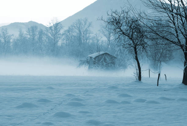 nebel und schnee - regina fog morning saskatchewan stock-fotos und bilder