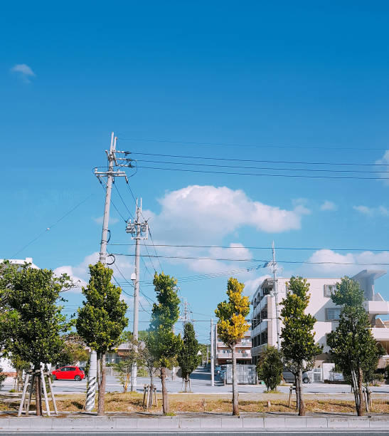 istock Japan , Autumn and Blue Sky 1175729206