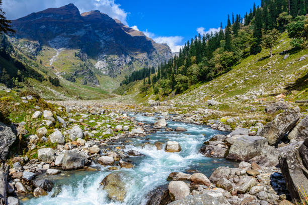 istock Glacial river in Himalayan mountain valley. Natural mountain landscape. 1175730494