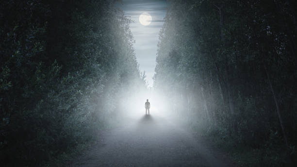istock Strange silhouette in a dark spooky forest at night 1175730561