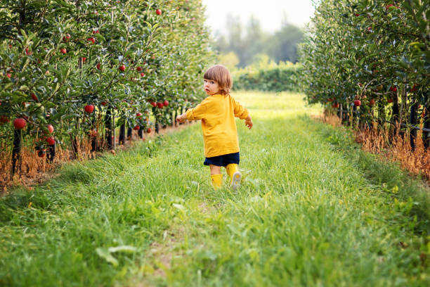 back view of cute little toddler boy in yellow top and rubber boots running  between rows of apple trees in orchard looking backwards. summer lifestyle. carefree childhood. copy space - child rear view running nature imagens e fotografias de stock