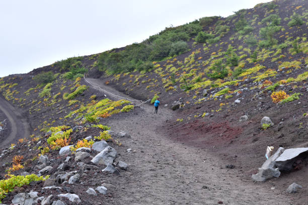 istock Mount Fuji fifth stage mountain trail 1175735689