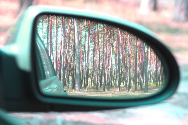 istock Car mirror with image of summer pine forest in reflection 1175736243