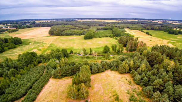 istock Mysterious river Widawka in summer day, Poland 1175740866