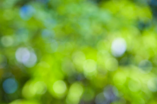 istock Beautiful macro  green leaf closeup, refreshment, relax, relief with copyspace for text, advertising green color background 1175742892
