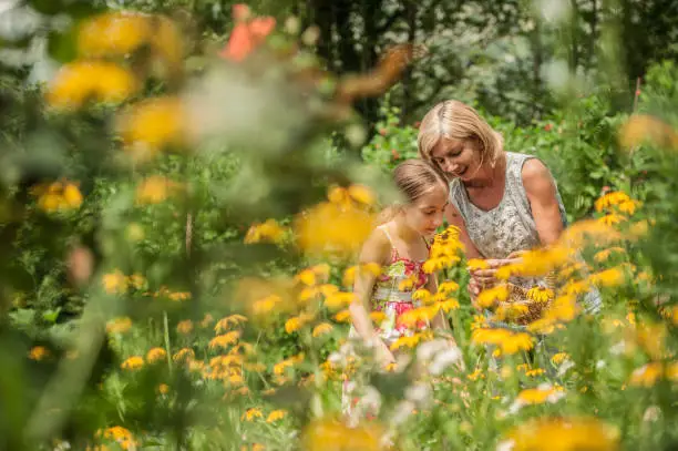 Mother and Daughter Picking Flowers in Summer Garden