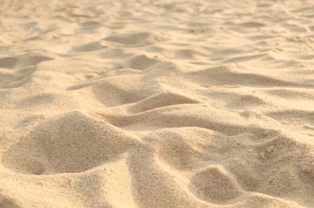 istock Texture of sand hills close up on the shore. 1175745723