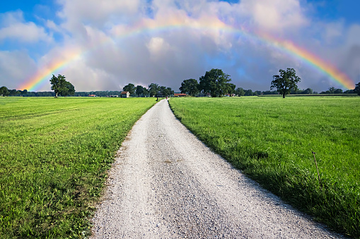 Green Meadow with Country Road leading towards a Rainbow