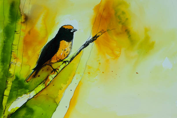 istock Bird watercolor Illustration. purple-throated euphonia (Euphonia chlorotica). 1175747450