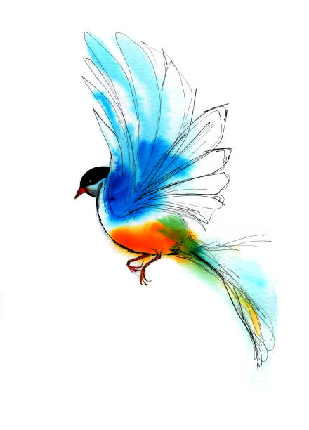 istock Bird hovering Watercolor Illustration. Freehand ink lines drawing on white background. 1175747539
