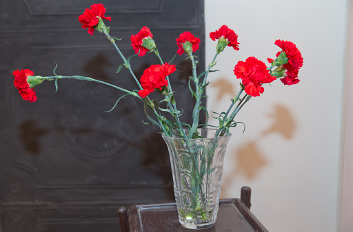 Bouquet of red carnation in glass vase. Mothers day, birthday greeting card. Fresh red carnation flower blooming in glass jar . Bouquet of red carnations Dianthus caryophyllus in small vase
