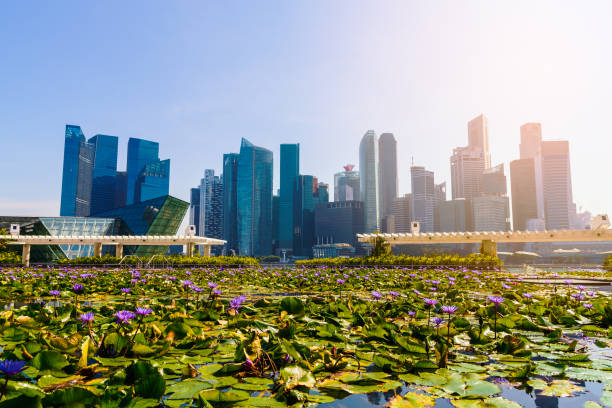 istock High-rise buildings and lotus pond. 1175755597