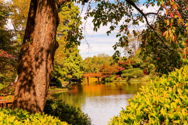 istock View of pond at sunset in autumn 1175758846