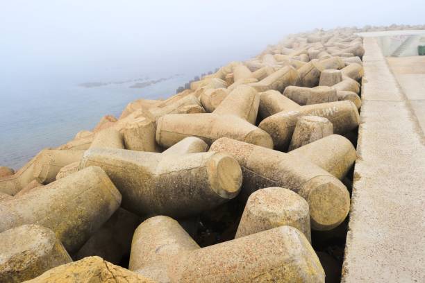 istock Tetrapod breakwaters concrete tetrapods for protect 1175761065