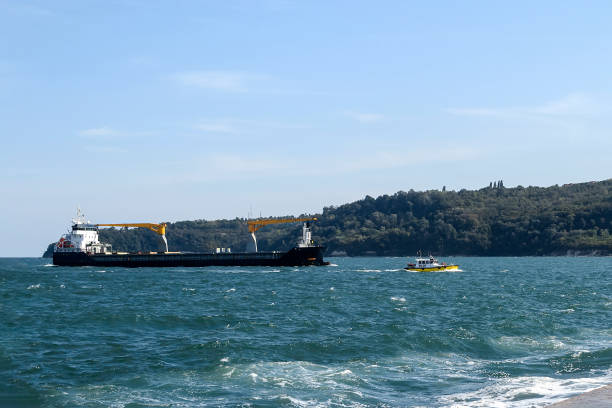 istock Small yellow pilot ship leads a large black cargo container ship to the seaport on a sunny day during small storm. Industrial seascape. 1175764121