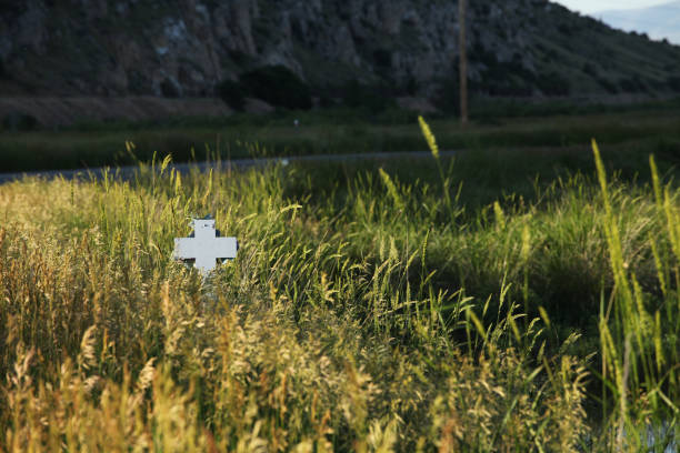 una cruz blanca muestra a través de la hierba alta cerca de un camino rural - memorial roadside cross cross shape fotografías e imágenes de stock