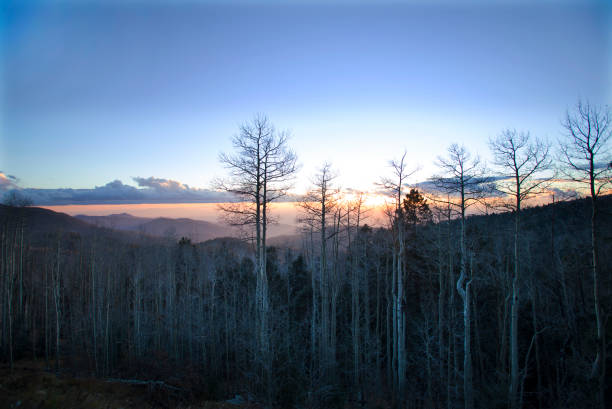 istock Winter aspen tree silhouettes glow white at sunset 1175765512