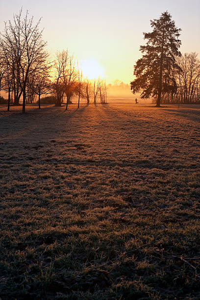 istock Metropark in the Morning, Monza. Color Image 117576614