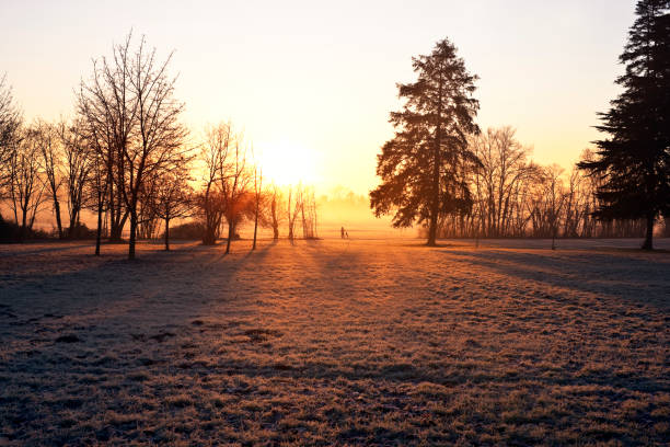 metropark al mattino, monza. immagine a colori - morning italy shadow sunlight foto e immagini stock