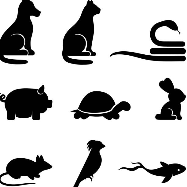 illustrazioni stock, clip art, cartoni animati e icone di tendenza di semplificata di animali arte vettoriale royalty-free in bianco e nero icona imposta - color image dog snake pets